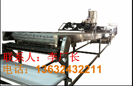 旗艦型河粉機生產(chǎn)視頻
